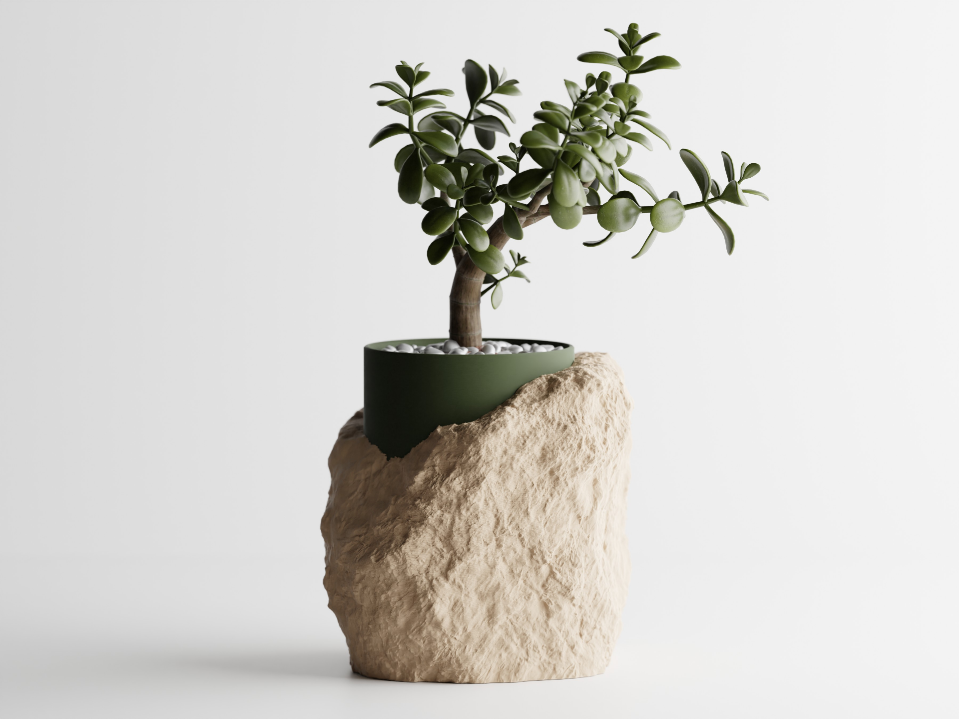 Rooted Rock - Planter